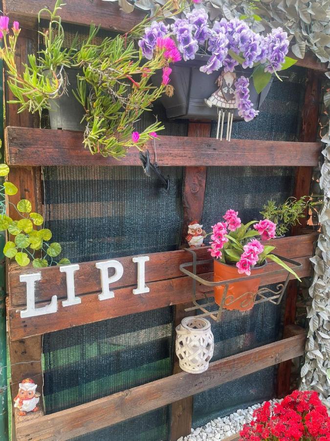 Bed & Breakfast Lipi Διαμέρισμα Ποτσουόλι Εξωτερικό φωτογραφία